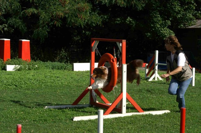 agility 2011-08